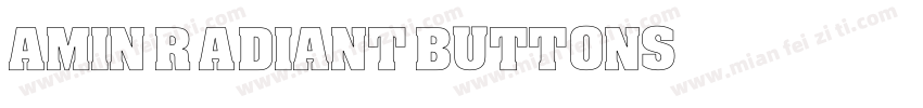 Amin Radiant Buttons字体转换